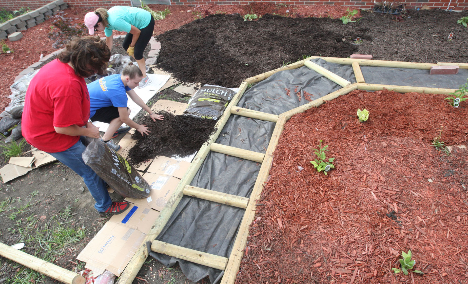 Harris garden 11 6.22.17.jpg